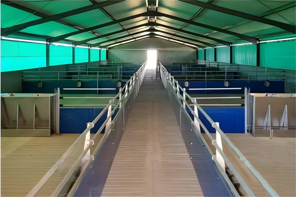 Prefabricated Steel Livestock Shelter with Durable, Corrosion-Resistant Frame - Image 4